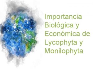 Importancia Biolgica y Econmica de Lycophyta y Monilophyta