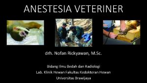 ANESTESIA VETERINER drh Nofan Rickyawan M Sc Bidang