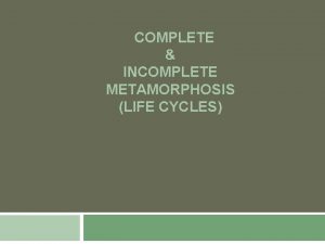 COMPLETE INCOMPLETE METAMORPHOSIS LIFE CYCLES BIRTH THE BEGINNING