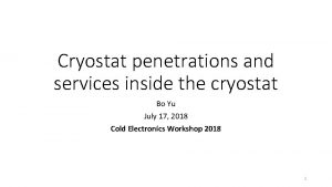 Cryostat penetrations and services inside the cryostat Bo