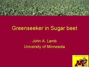 Greenseeker in Sugar beet John A Lamb University