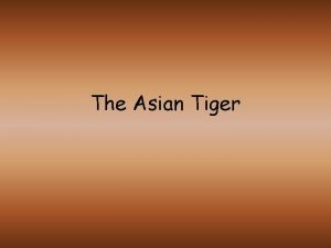 The Asian Tiger China Long March Zedongs retreat