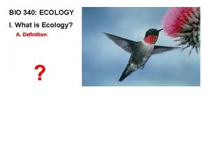 BIO 340 ECOLOGY I What is Ecology A