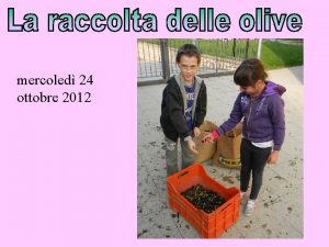 mercoled 24 ottobre 2012 Mercoledi abbiamo raccolto 234