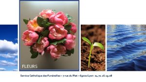 Fleurs FLEURS Service Catholique des Funrailles 7 rue