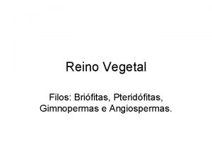 Reino Vegetal Filos Brifitas Pteridfitas Gimnopermas e Angiospermas