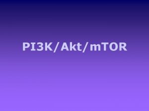 PI 3 KAktm TOR ROLES OF AKT IN