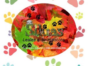 Leales a tu mascota Accesorios juguetes y ms