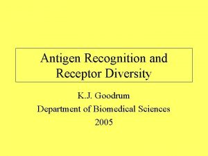 Antigen Recognition and Receptor Diversity K J Goodrum