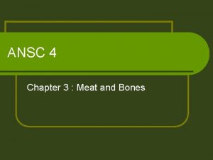 ANSC 4 Chapter 3 Meat and Bones Objectives