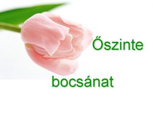 szinte bocsnat szinte bocsnat Pillang vagyok egy vadvirgon