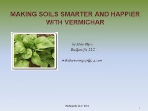 MAKING SOILS SMARTER AND HAPPIER WITH VERMICHAR by