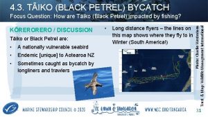 4 3 TIKO BLACK PETREL BYCATCH KRERO DISCUSSION