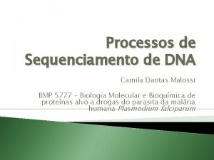 Processos de Sequenciamento de DNA Camila Dantas Malossi