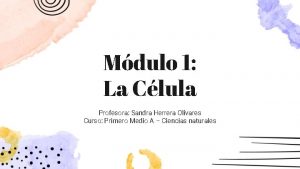 Mdulo 1 La Clula Profesora Sandra Herrera Olivares