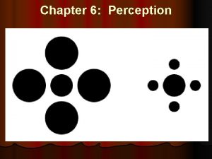 Chapter 6 Perception Perception l The organization and