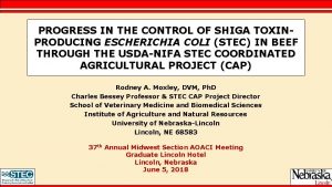 PROGRESS IN THE CONTROL OF SHIGA TOXINPRODUCING ESCHERICHIA