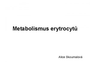 Metabolismus erytrocyt Alice Skoumalov Erytrocyty Struktura bikonkvn tvar