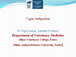 Vagus indigestion Dr Bipin Kumar Assistant Professor Department