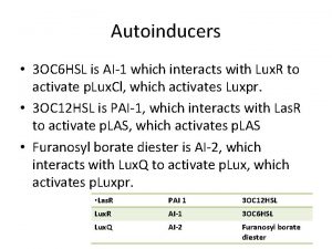 Autoinducers 3 OC 6 HSL is AI1 which