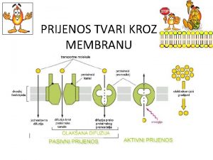 PRIJENOS TVARI KROZ MEMBRANU PRIJENOS TVARI KROZ BIOMEMBRANU