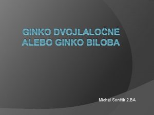 GINKO DVOJLALON ALEBO GINKO BILOBA Michal Sonk 2