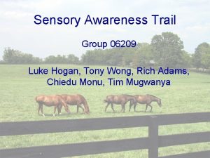 Sensory Awareness Trail Group 06209 Luke Hogan Tony