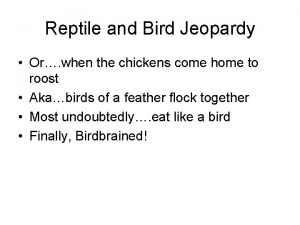 Reptile and Bird Jeopardy Or when the chickens