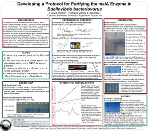 Developing a Protocol for Purifying the mal A