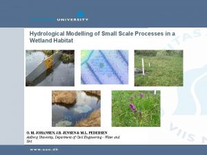 Hydrological Modelling of Small Scale Processes in a