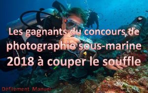 Les gagnants du concours de photographie sousmarine 2018