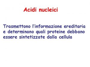 Acidi nucleici Trasmettono linformazione ereditaria e determinano quali