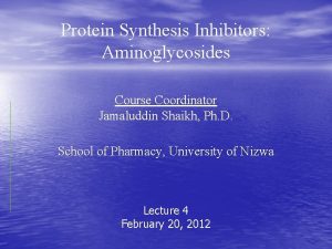 Protein Synthesis Inhibitors Aminoglycosides Course Coordinator Jamaluddin Shaikh