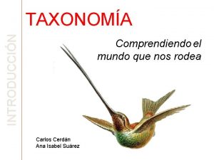 INTRODUCCIN TAXONOMA Comprendiendo el mundo que nos rodea