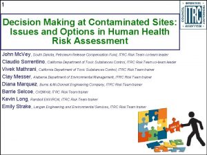 1 Decision Making at Contaminated Sites Issues and