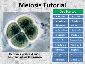 Meiosis Tutorial Get Started Place your keyboard aside