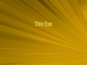 The Eye Eye Dissected The eye is an