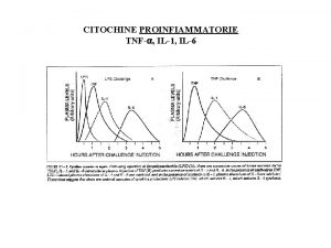 CITOCHINE PROINFIAMMATORIE TNFa IL1 IL6 Figura 13 17