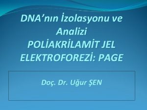 DNAnn zolasyonu ve Analizi POLAKRLAMT JEL ELEKTROFOREZ PAGE