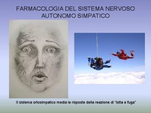 FARMACOLOGIA DEL SISTEMA NERVOSO AUTONOMO SIMPATICO Il sistema