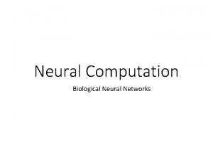 Neural Computation Biological Neural Networks Sources Material in