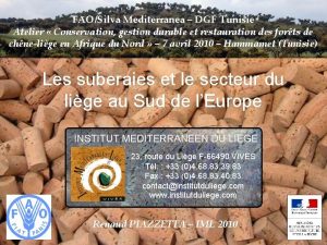 FAOSilva Mediterranea DGF Tunisie Atelier Conservation gestion durable