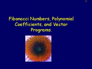 Fibonacci Numbers Polynomial Coefficients and Vector Programs Going
