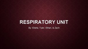 RESPIRATORY UNIT By Elisha Tyler Ethan Zach RESPIRATORY