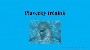 Plaveck trnink Natlie Berounsk Natlie Krumlov Trninkov jednotka