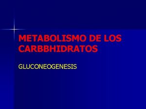 METABOLISMO DE LOS CARBBHIDRATOS GLUCONEOGENESIS METABOLISMO DE LOS