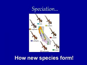 Speciation How new species form What exactly is