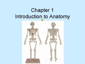 Chapter 1 Introduction to Anatomy Anatomical position To
