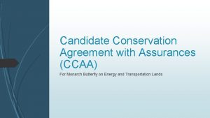 Candidate Conservation Agreement with Assurances CCAA For Monarch