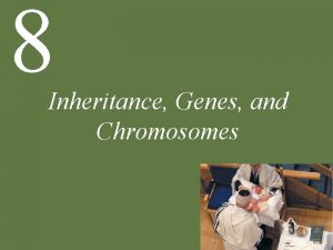 8 Inheritance Genes and Chromosomes Chapter 8 Inheritance